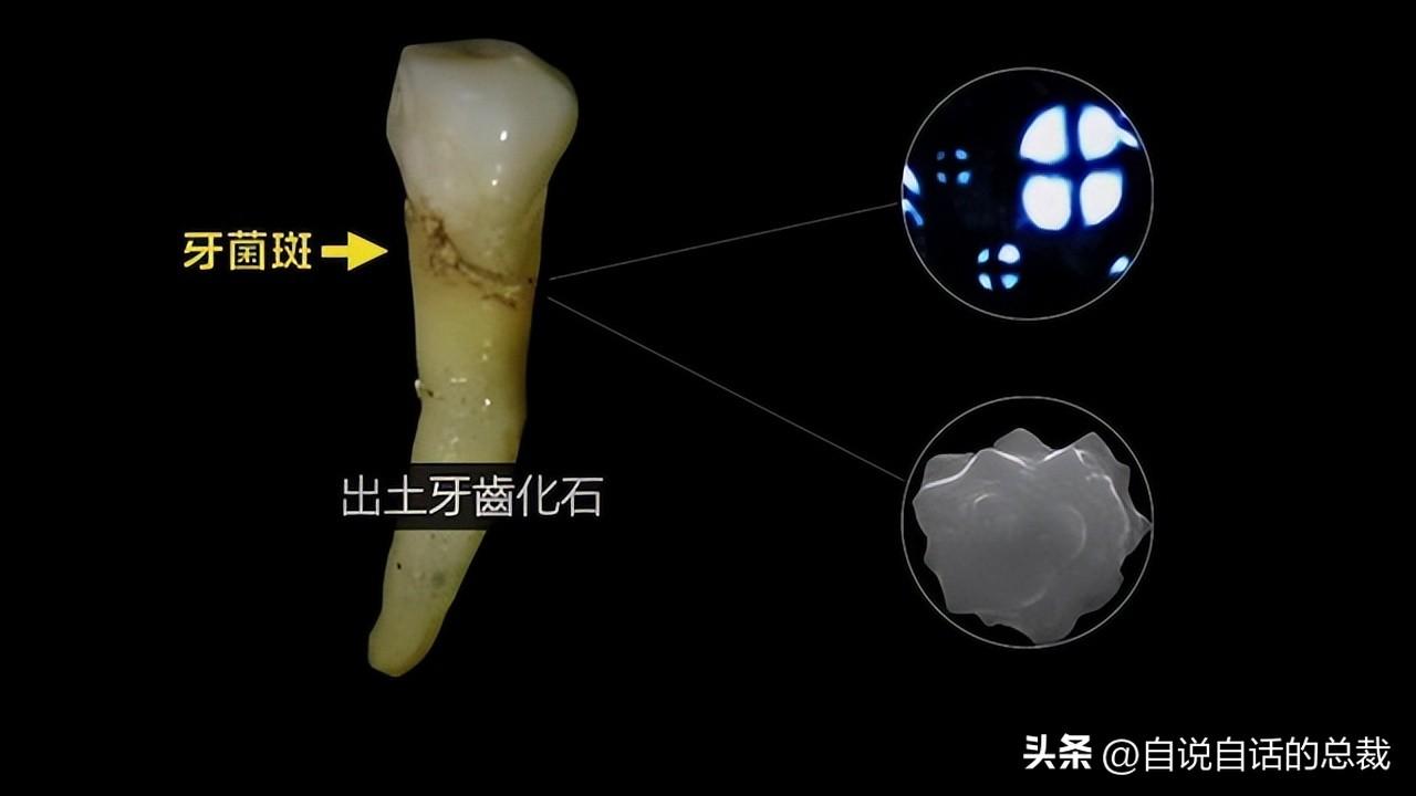 复活节岛石像之谜（神秘打工人！复活节岛石像传说~）