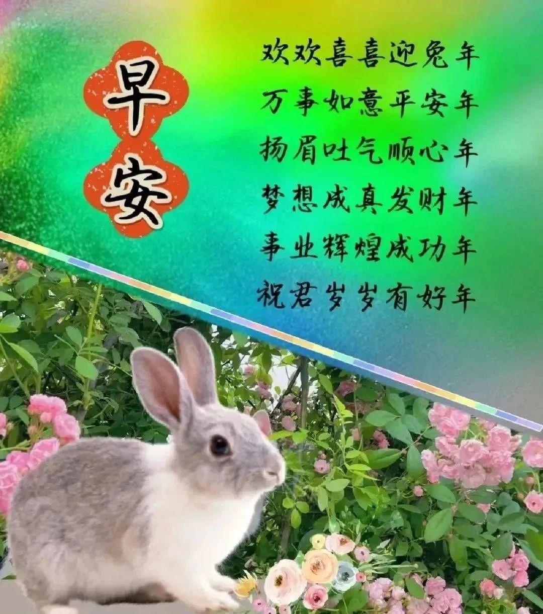 上午好问候语