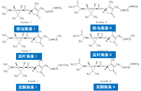 除虫菊素（菊花真的可以驱蚊吗？）