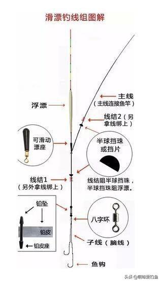 矶钓线组（矶钓钓组细说分析）