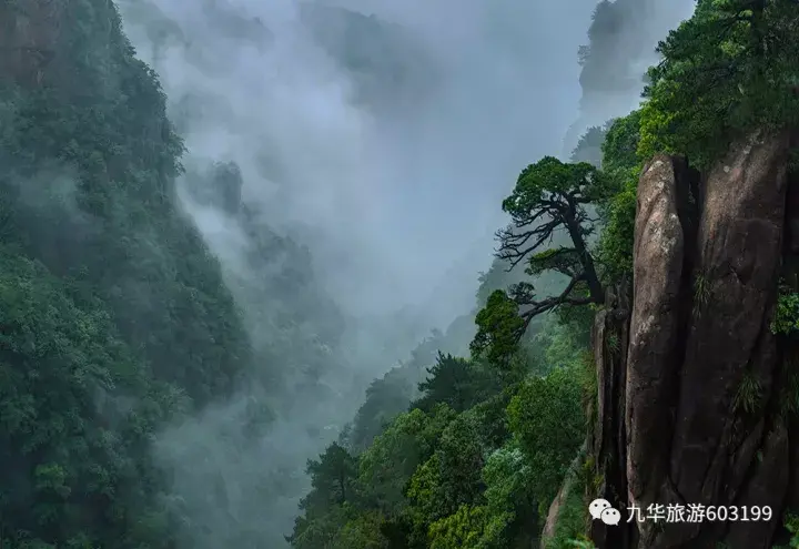 九华旅游（7月，一定要来一次九华山）