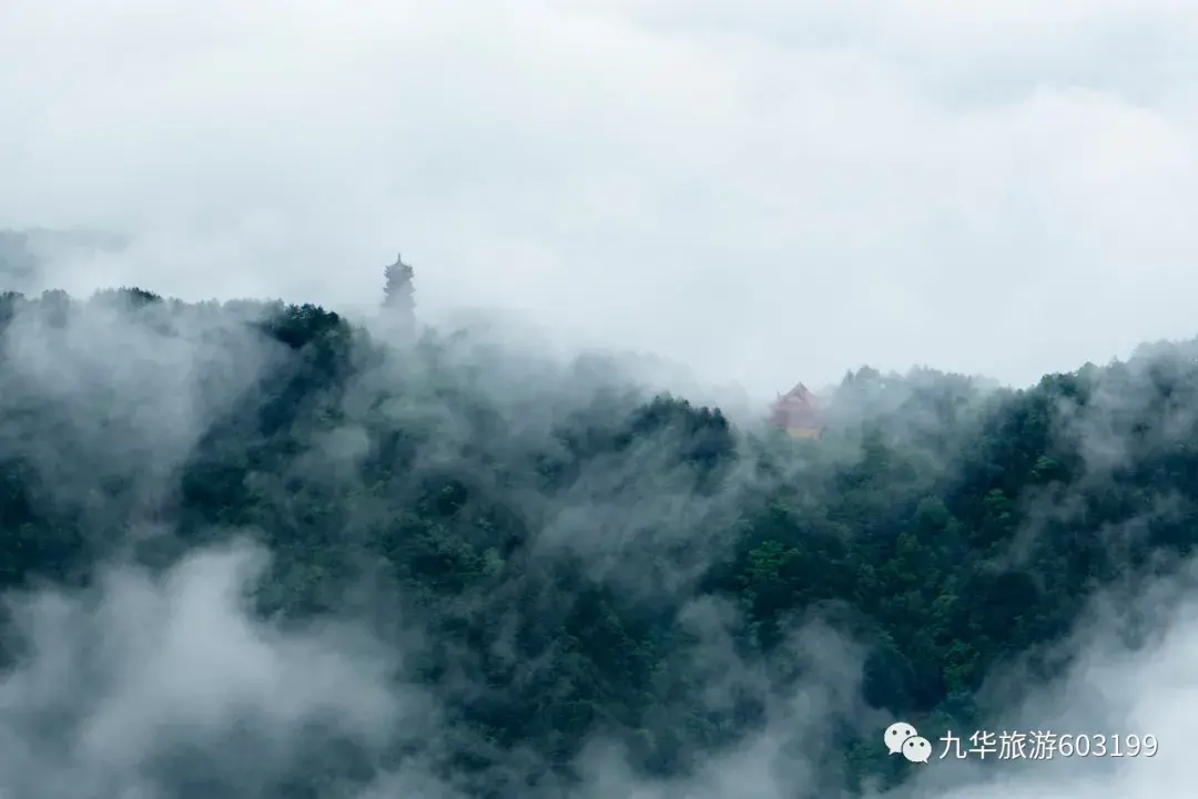 九华旅游（7月，一定要来一次九华山）