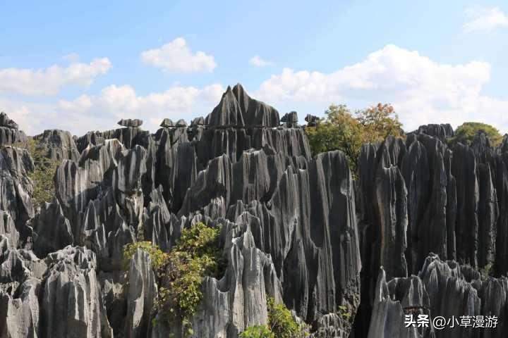 云南旅游景点推荐（云南旅游十大必去景点）